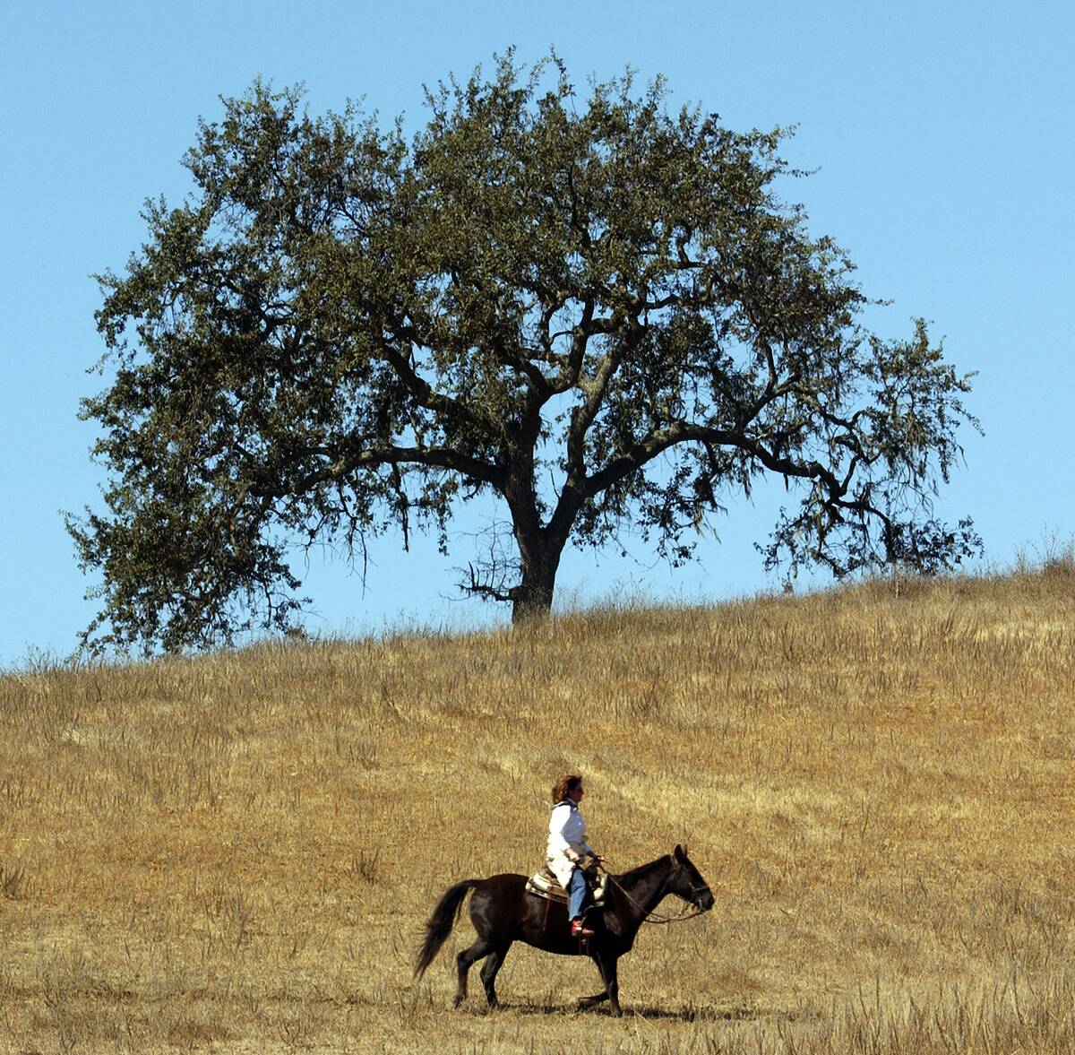 Cowgirl Camp at Alisal Ranch (CA)