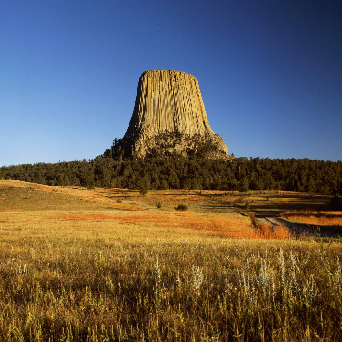 Devil's Tower Fall