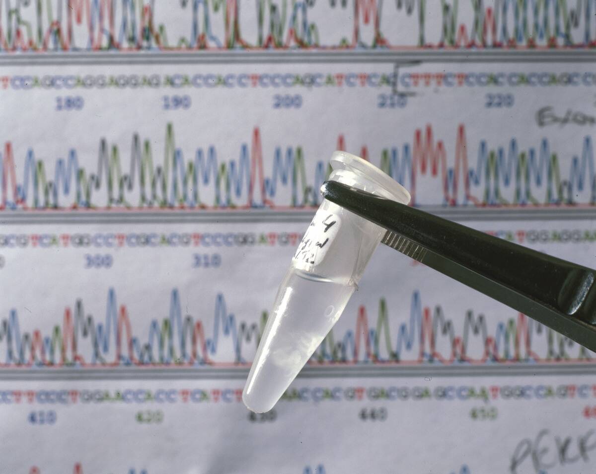 DNA sequence and sample of DNA.