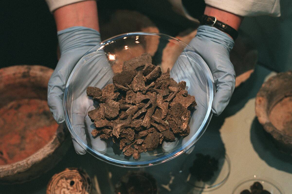 FIRST REMAINS OF FEMALE GLADIATOR FOUND IN LONDON