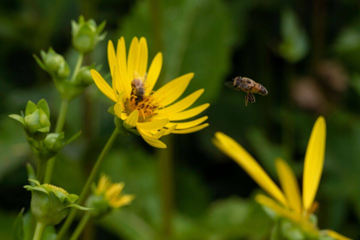 FRANCE-AGRICULTURE-WEATHER