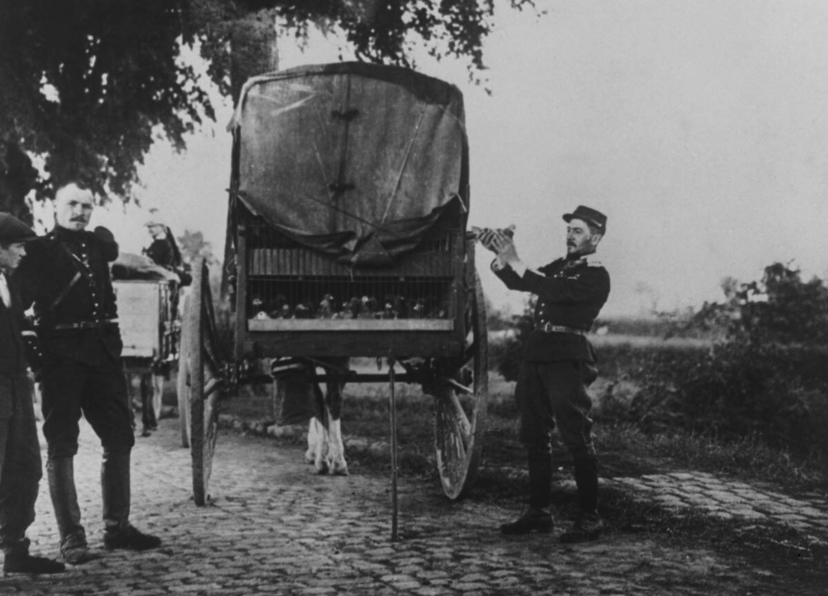 French army in Belgium with a van of carrier pigeons, used to send messages back to headquarters