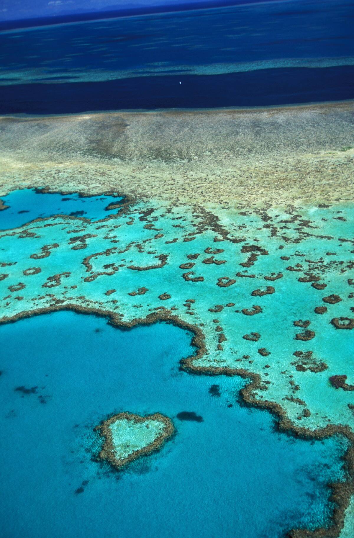 Great Barrier Reef In Queensland In Australia