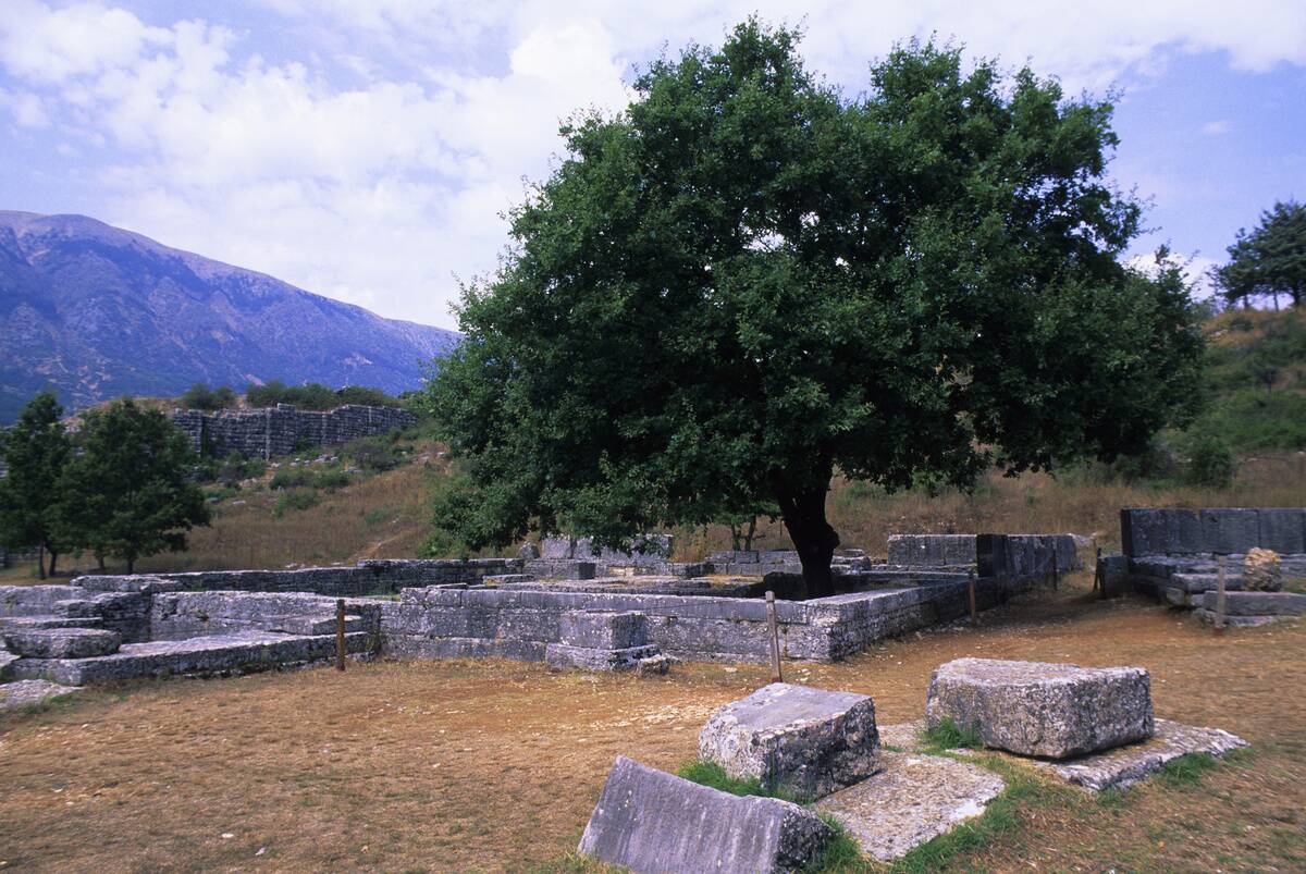 Greece, Dodona, Oldest Site Of Oracle, Appearance In Oak...