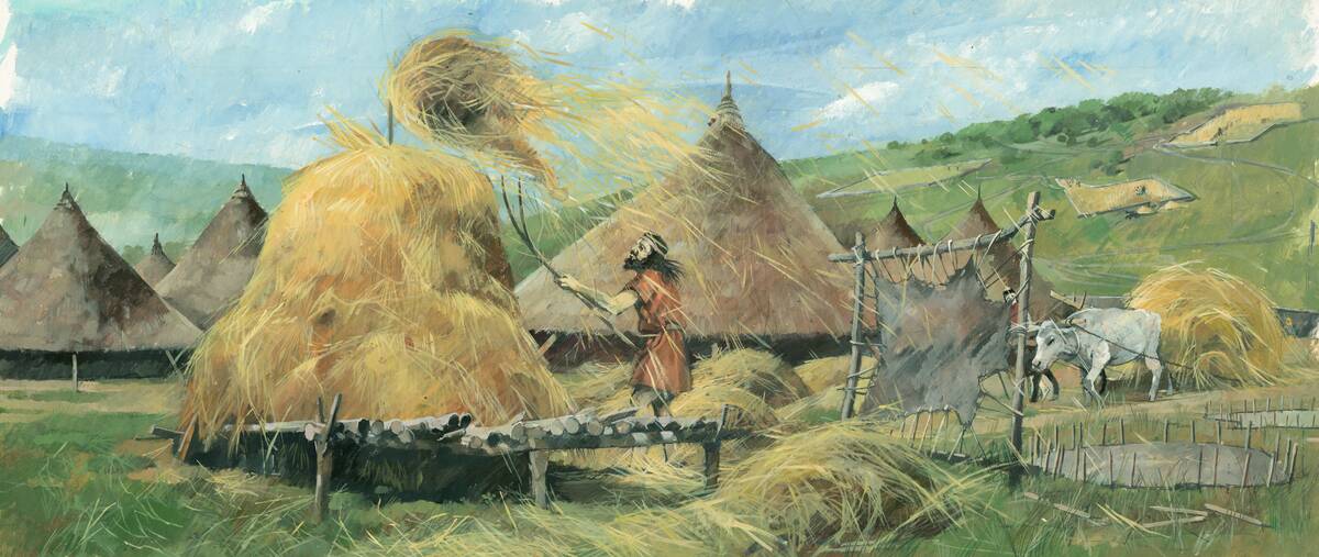 Grimspound, Bronze Age, (c1990-2010)