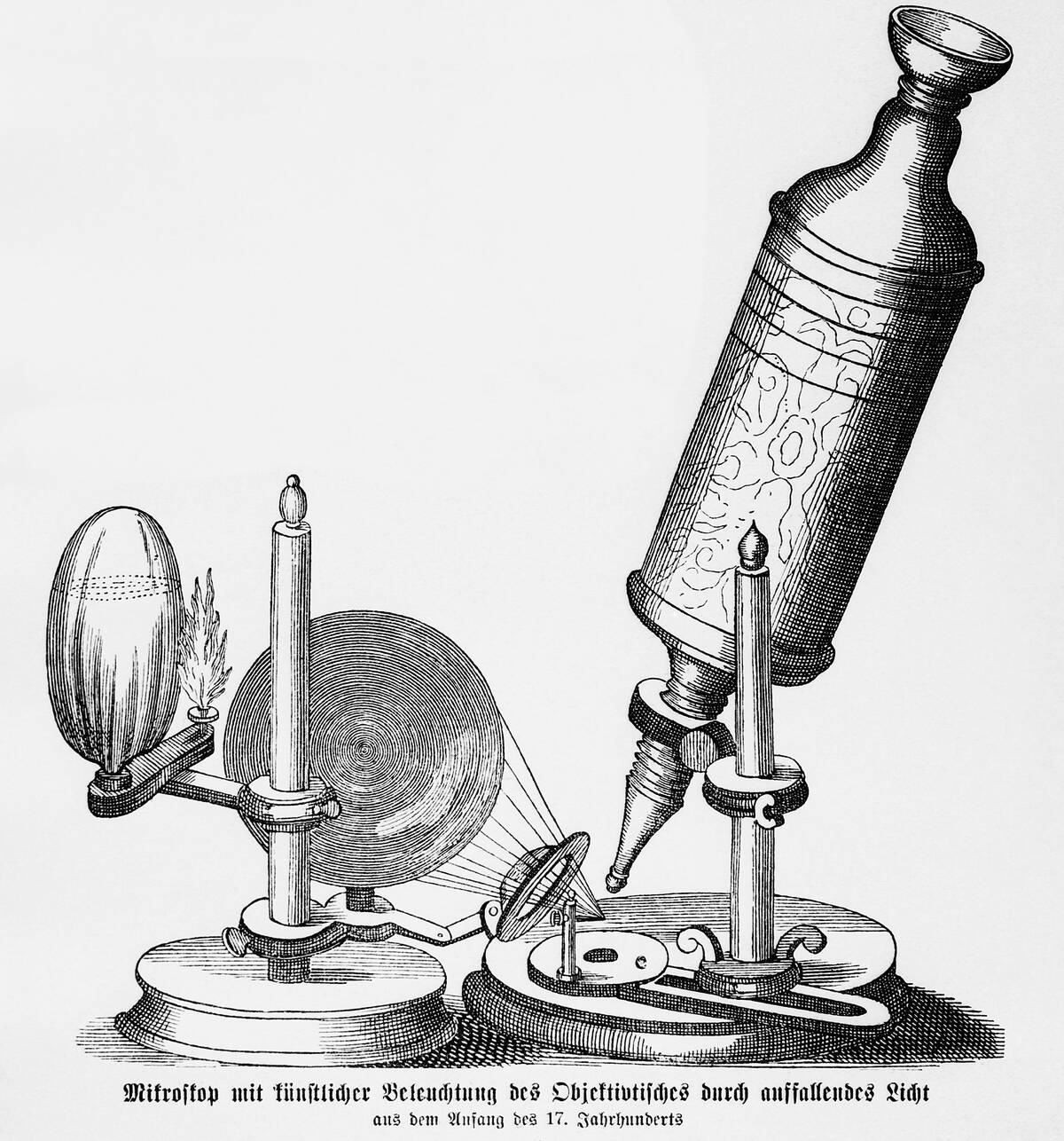 Illustration of Robert Hooke's Compound Microscope