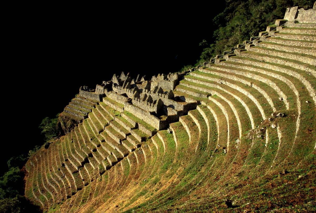 Inca ruins and terracing of Winay Wayna (Hinay Huayna),...