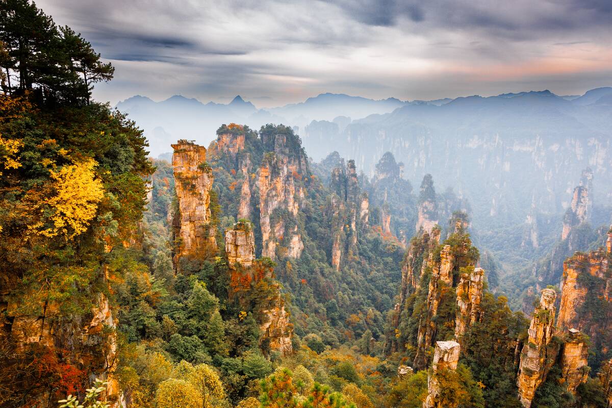 Magnificent Autumn Scenery Of Zhangjiajie National Forest Park In China's Hunan