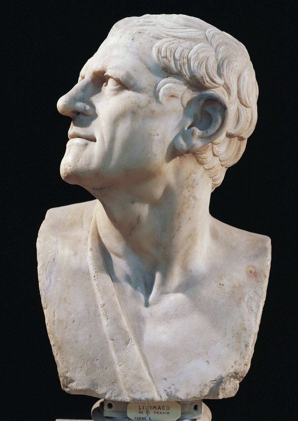 Marble bust of Lysimachus