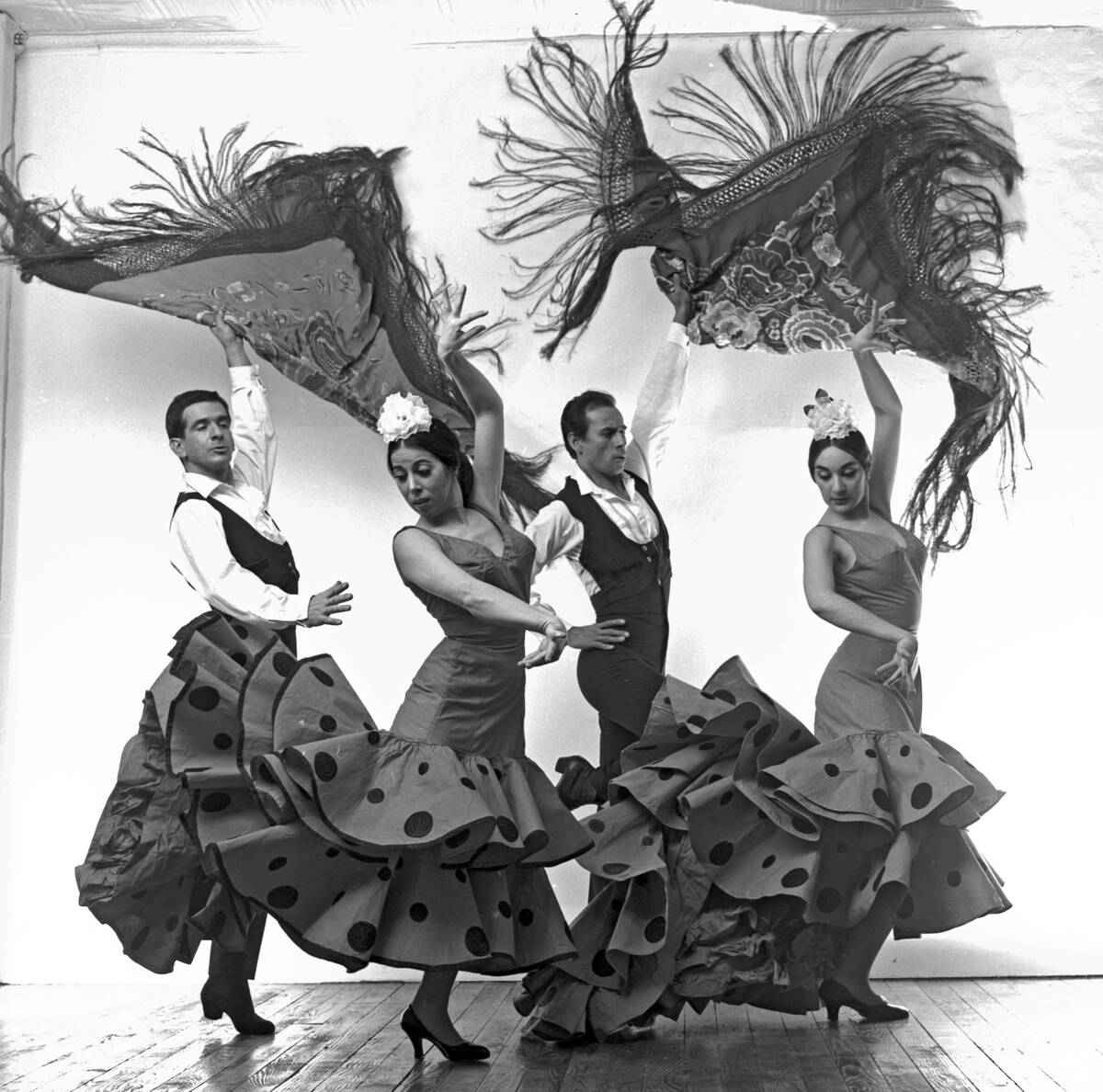 Maria Alba Dance Company