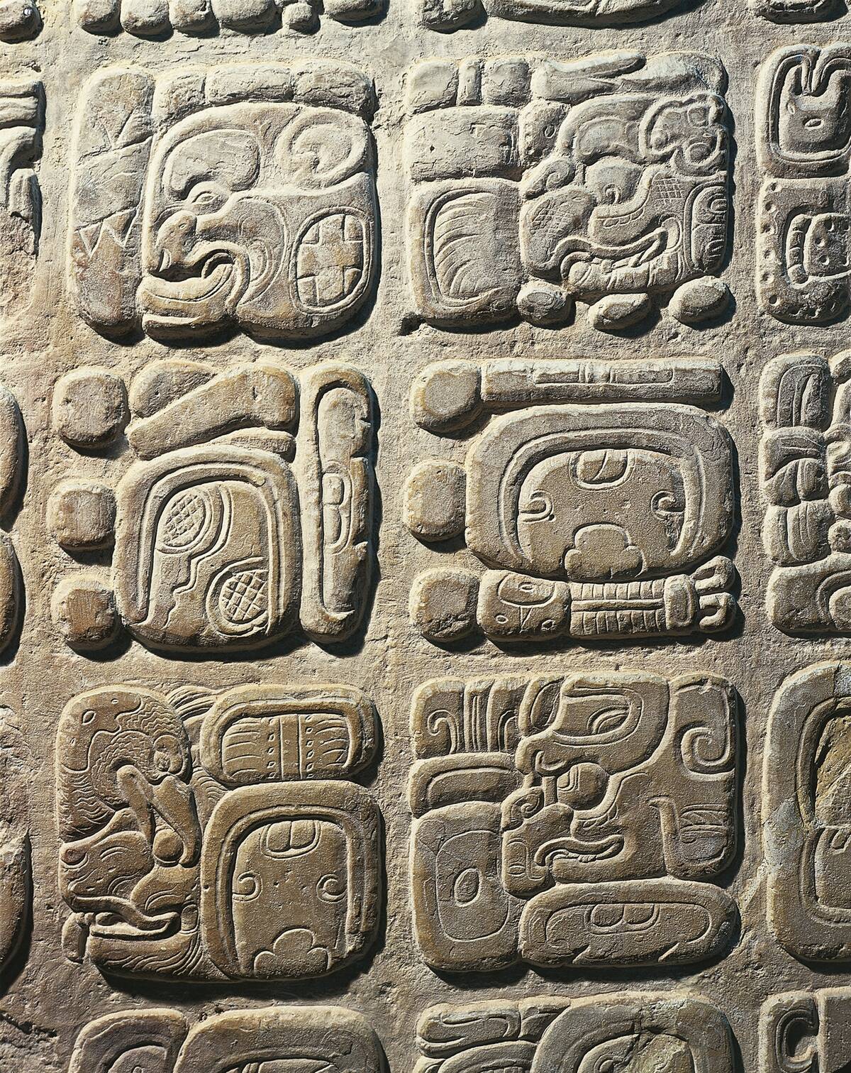 Mexico - Palenque archaeological site - Stone with non-coded hieroglyphics