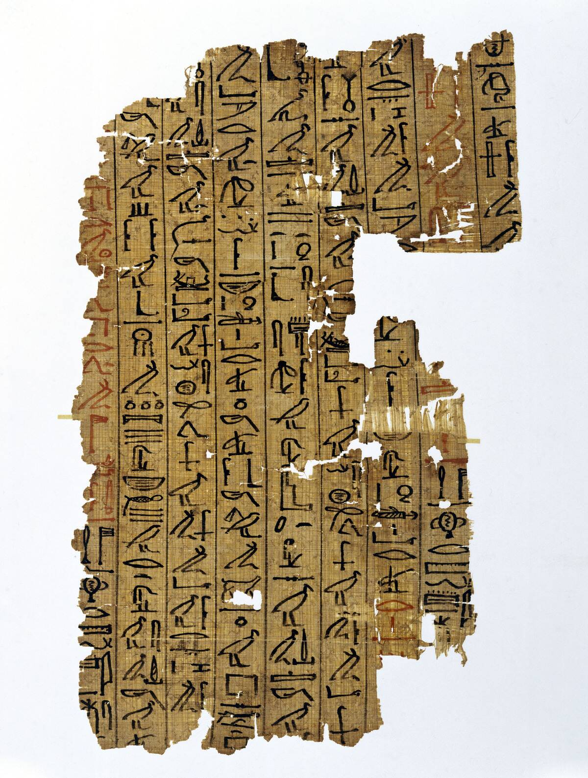 Piece of papyrus with hieroglyphic inscription, Egyptian, 1400-1200 BC.