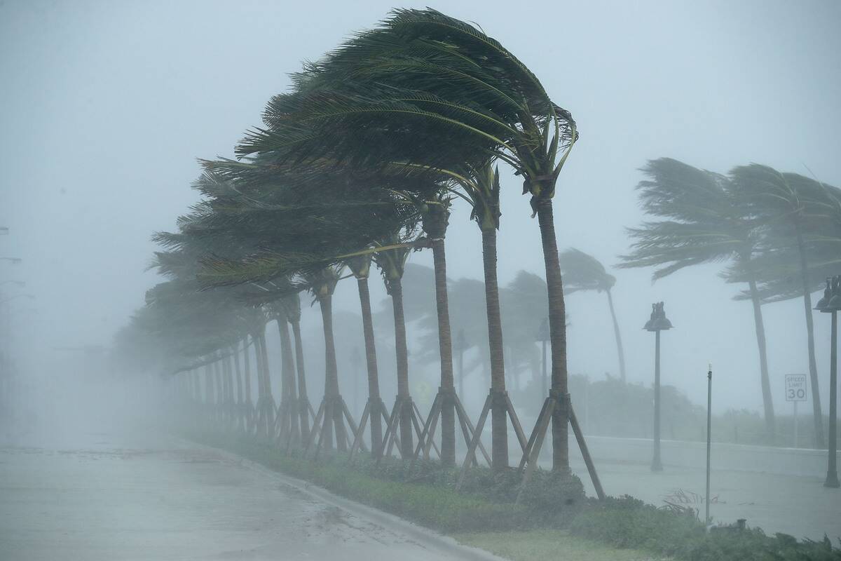 Powerful Hurricane Irma Slams Into Florida