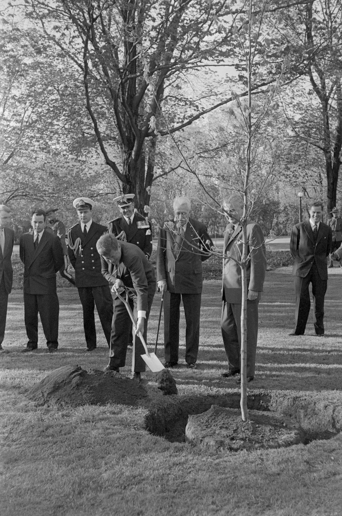 President Kennedy Planting a Tree