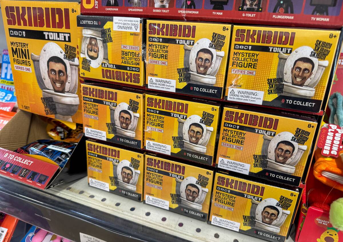 Skibidi Enters Cambridge English Dictionary