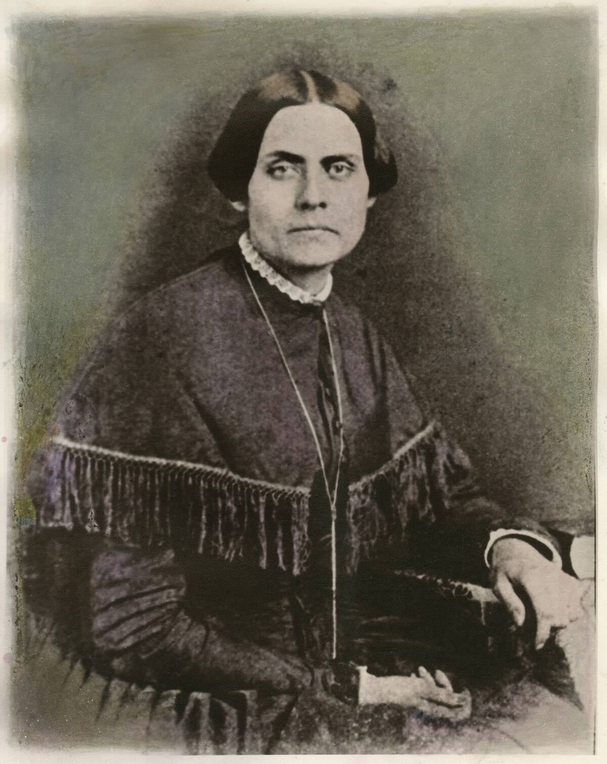 Susan B. Anthony Activism Suffrage