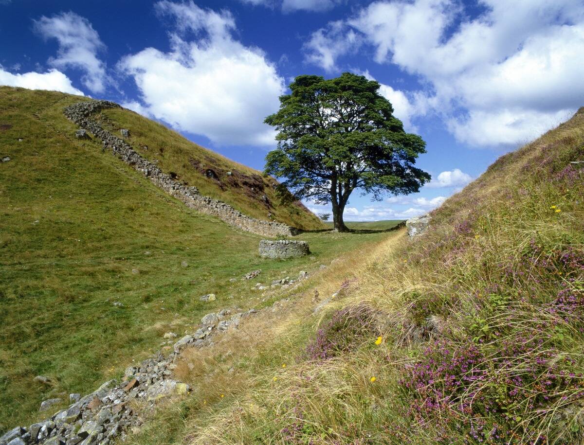 Sycamore Gap