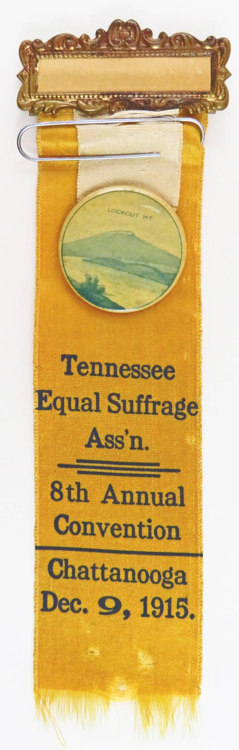 Tennessee Suffrage Ribbon