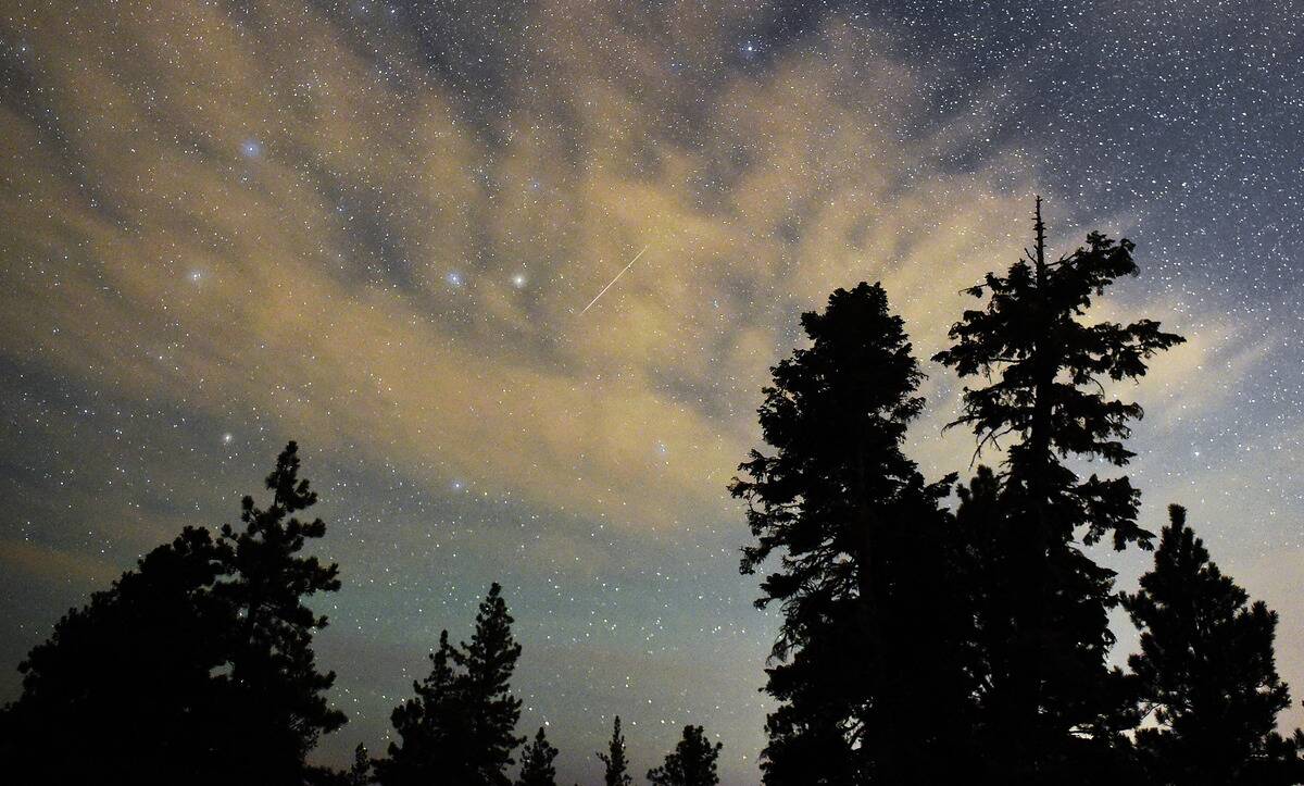 The Annual Perseid Meteor Shower