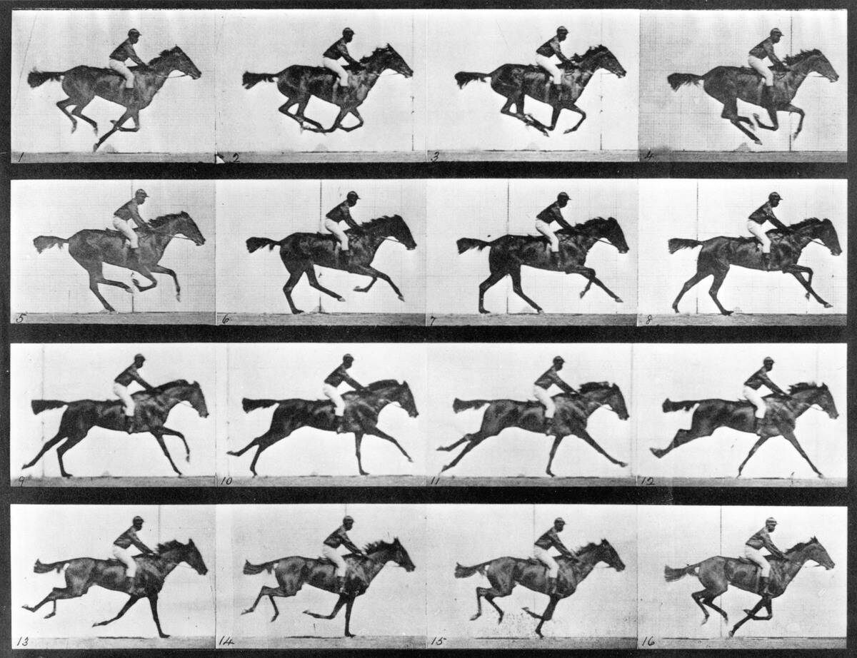 Time-lapse photographs of a man riding a galloping horse, 1872-1885.