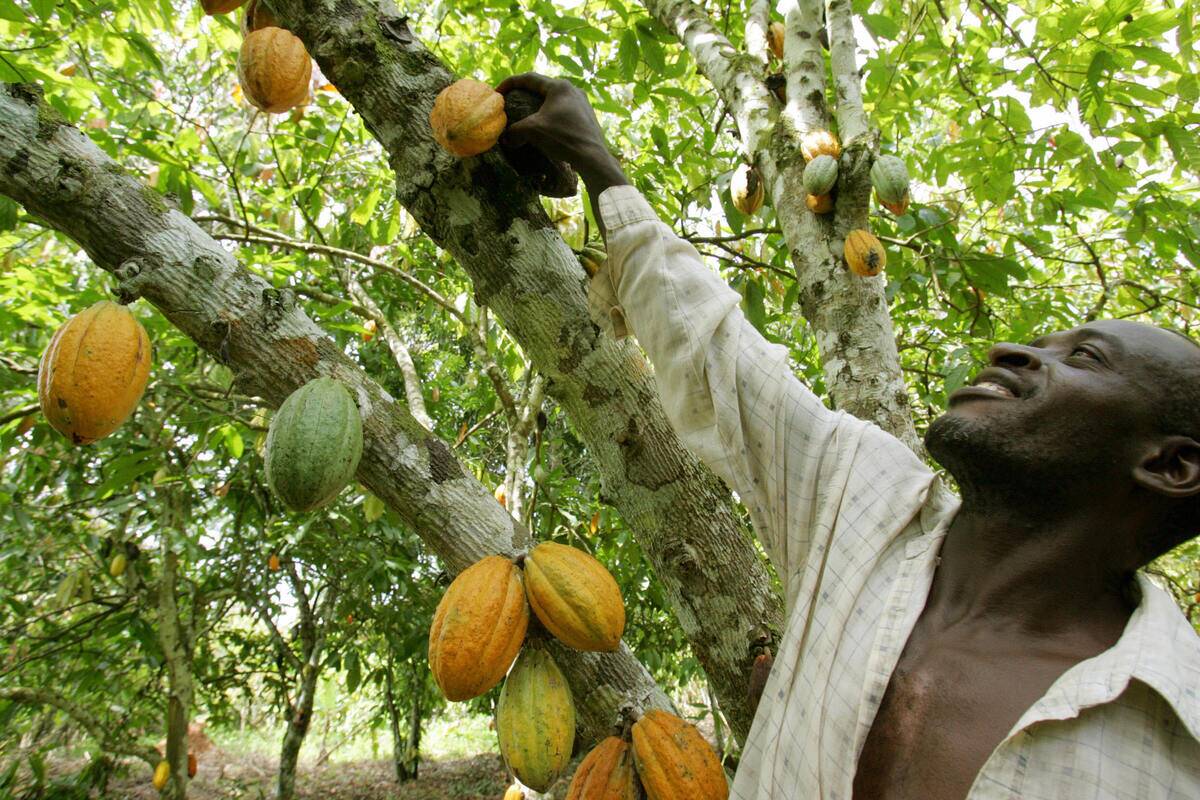 TO GO W/ AFP STORY IN FRENCH BY David YO