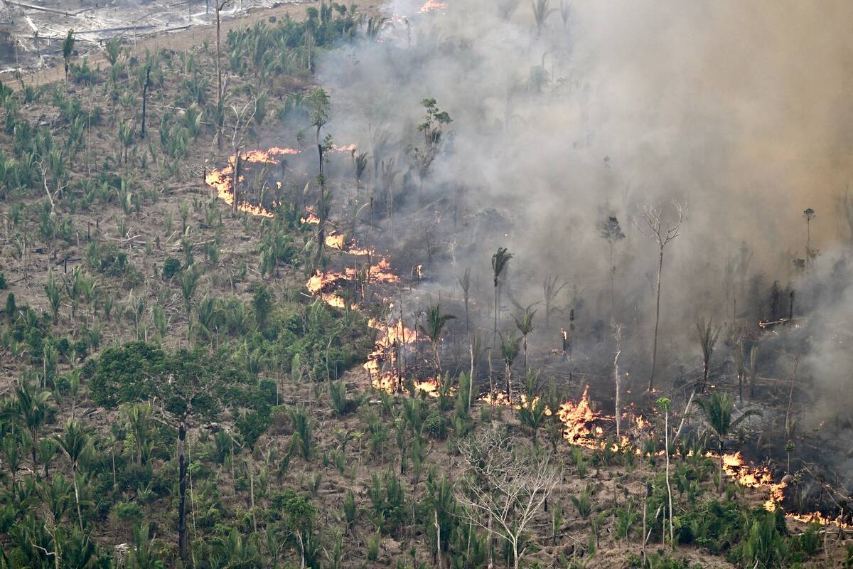 TOPSHOT-BRAZIL-ENVIRONMENT-DEFORESTATION-FIRE