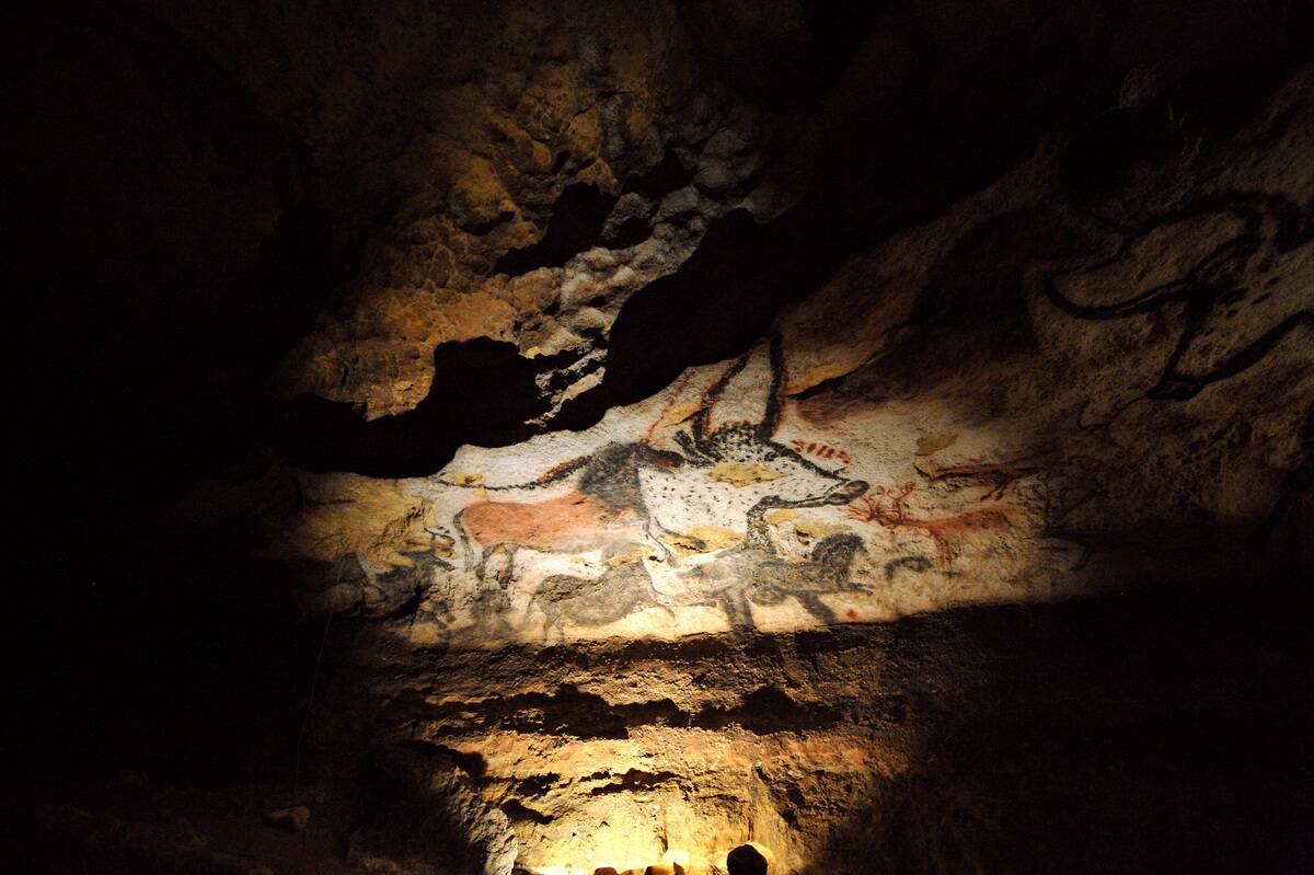 TOPSHOT-FRANCE-CULTURE-PREHISTORY-LASCAUX