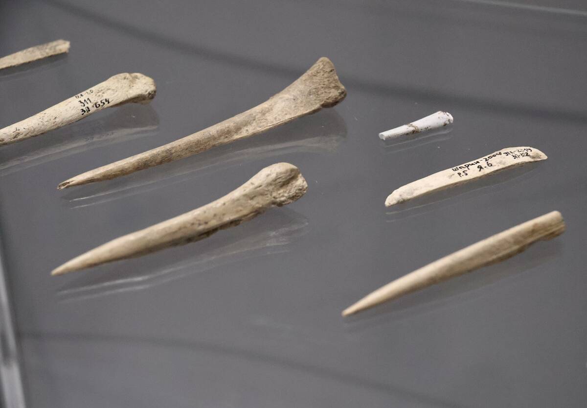 Trypillia Culture Reserve in Cherkasy Region, Ukraine