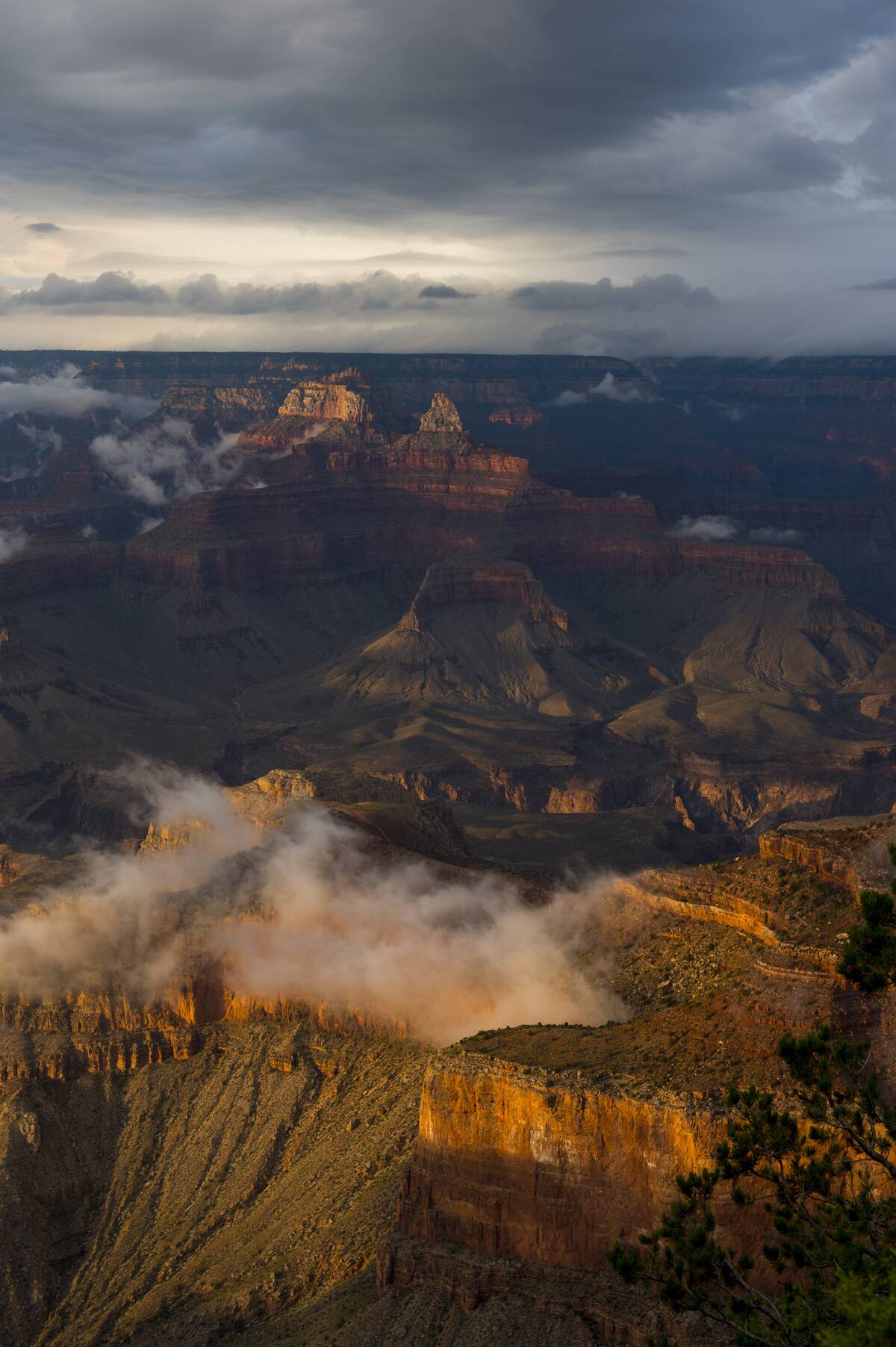 View from Mather Point of the Grand Canyon in evening light...