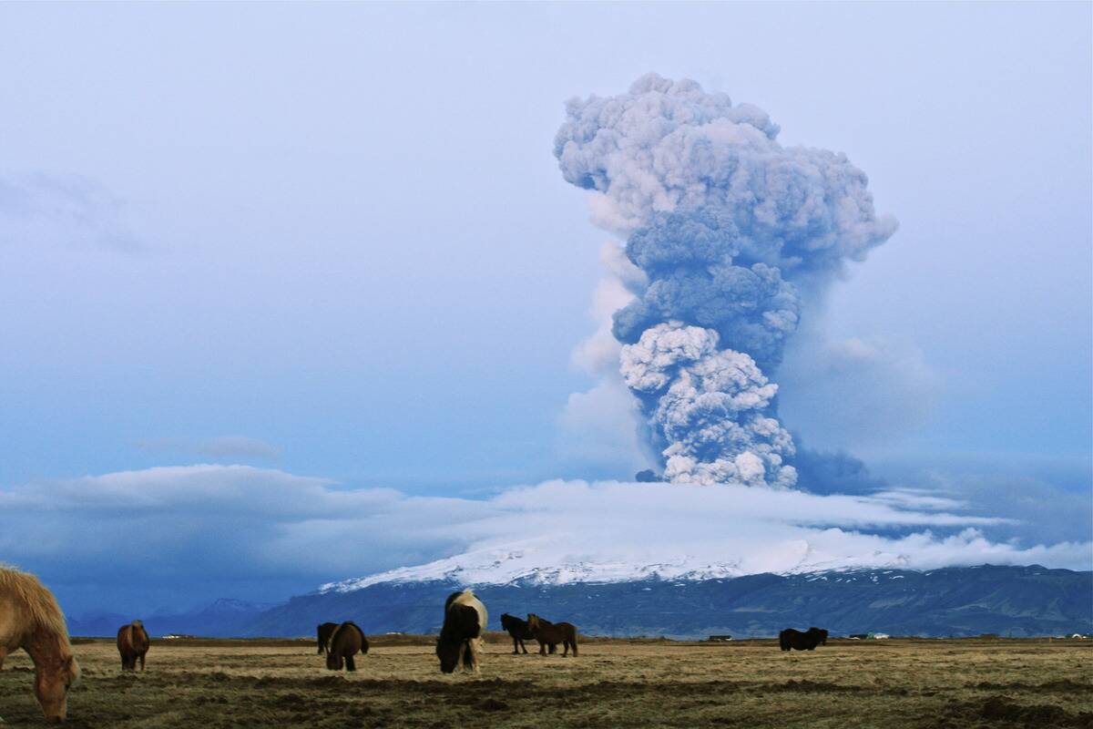 Volcano Erupts In Iceland