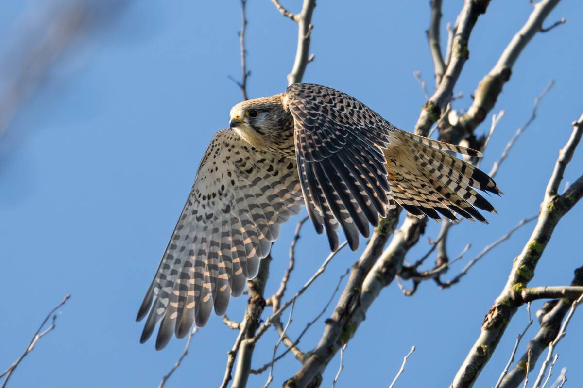 Weather in Baden-Württemberg