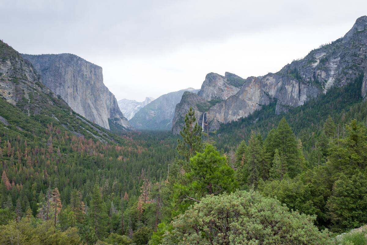 Yosemite Valley