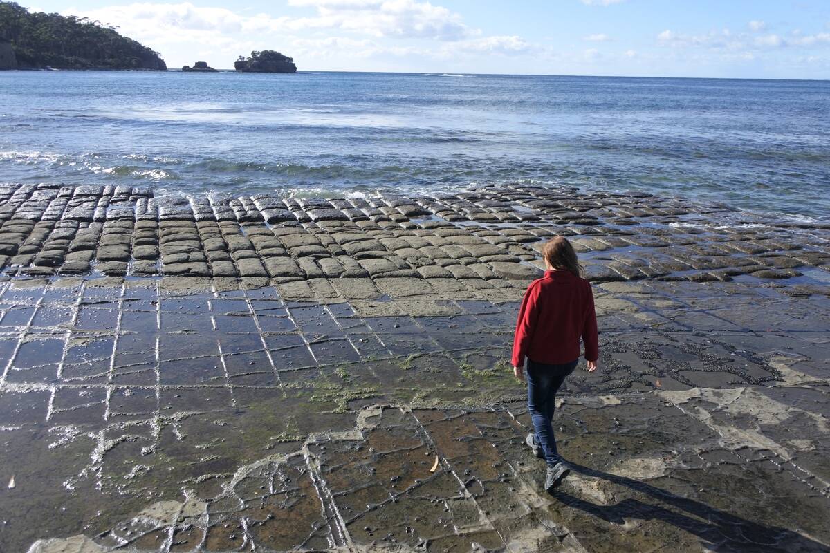 Young woman hiking over the Tessellated Pavement in Tasman Peninsula Tasmania Australia.