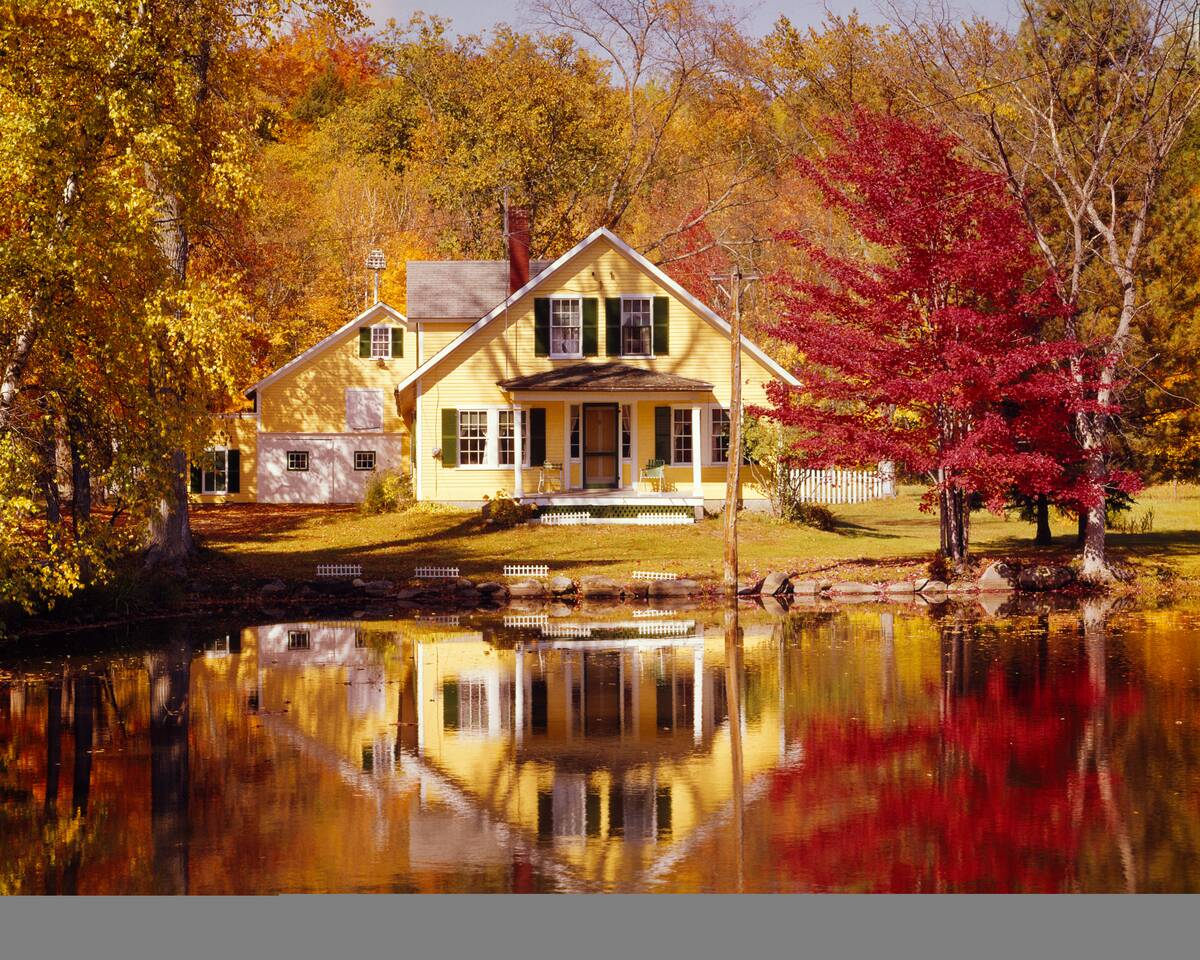 1960s Yellow House With Gre...