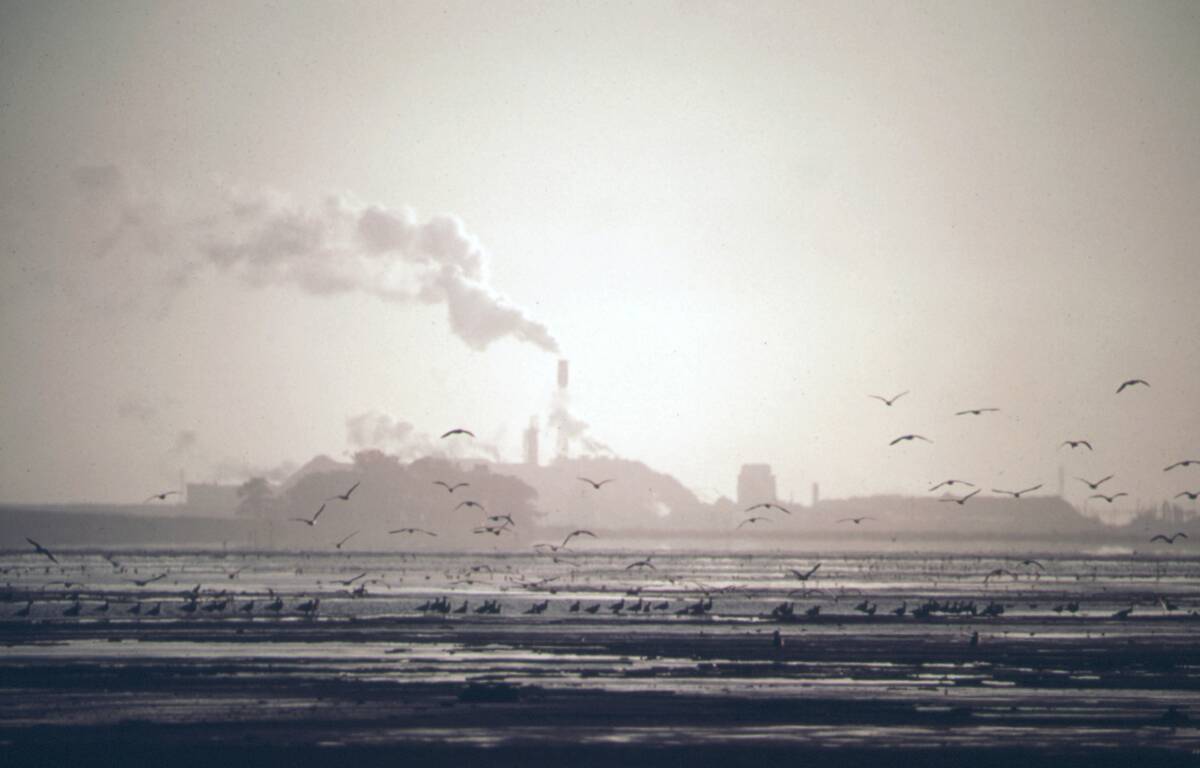 1970s America: Looking across Humboldt Bay at low tide. Georgia Pacific lumber mill in background ca. 1972