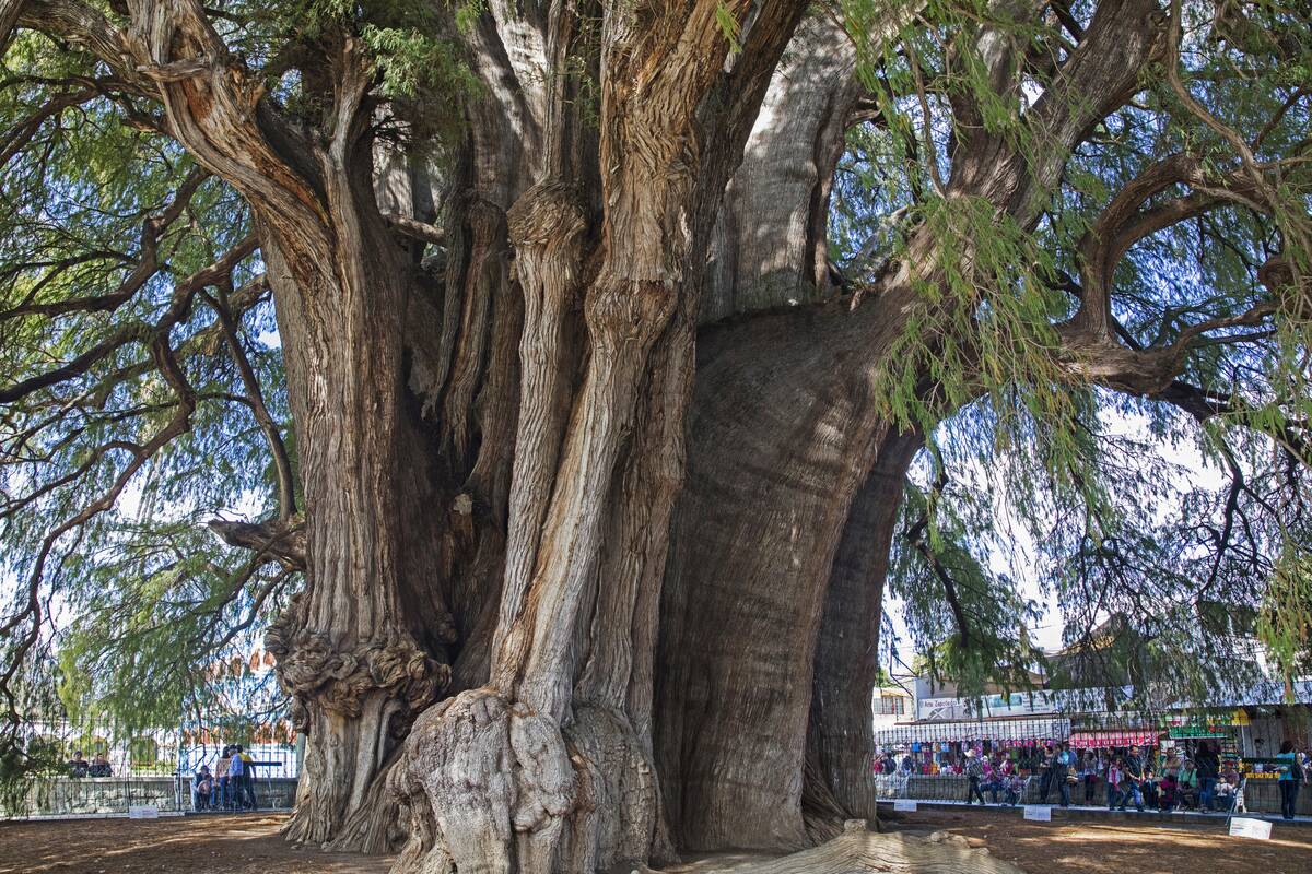 GettyImages-1337940166