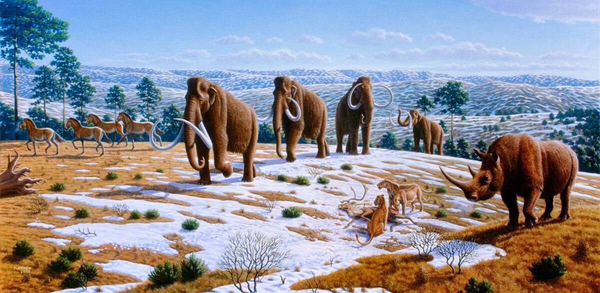 Ice_age_fauna_of_northern_Spain_ Mauricio_Antón