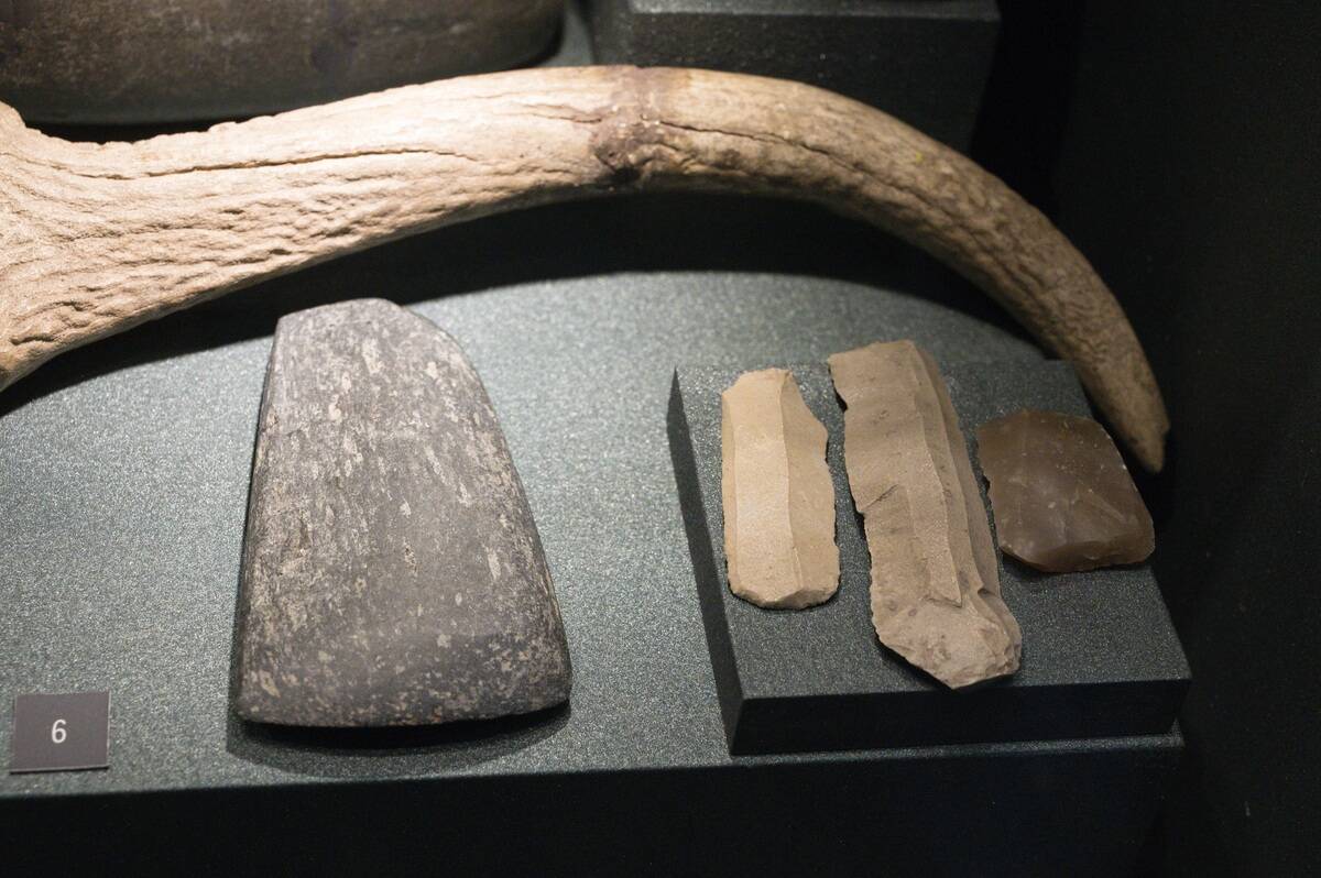 Stone_tools,_Neolithic_or_Copper_Age,_City_of_Prague_Museum,_200215