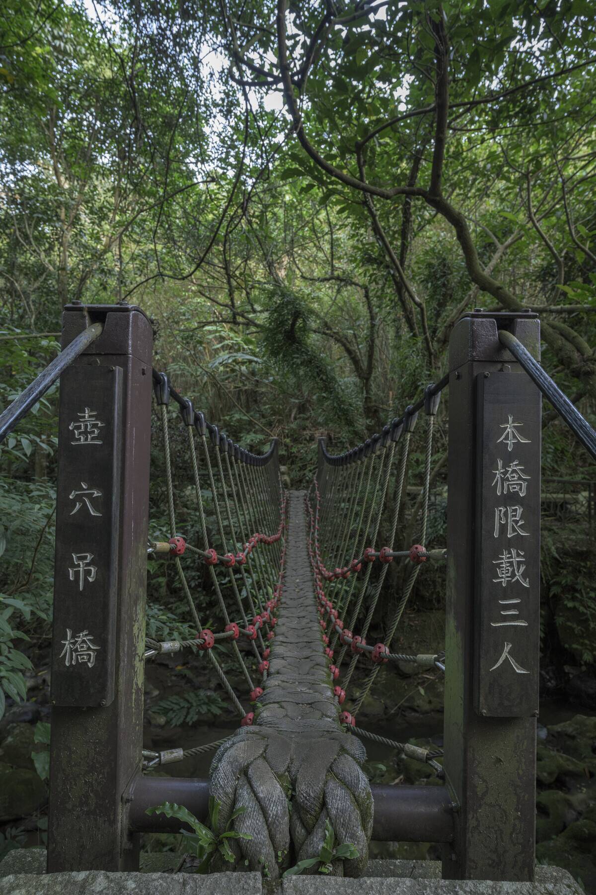 An old, weathered bridge stretches into a lush green forest...