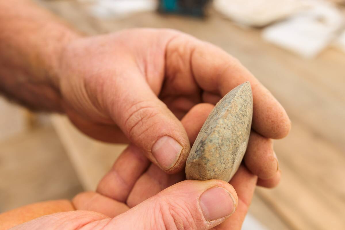 Archaeological excavation in Breisach
