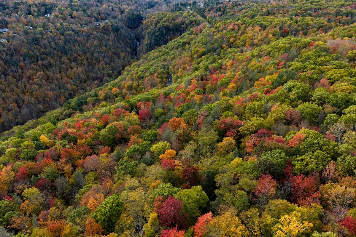 Autumn colors paint the Catskills forests in New York