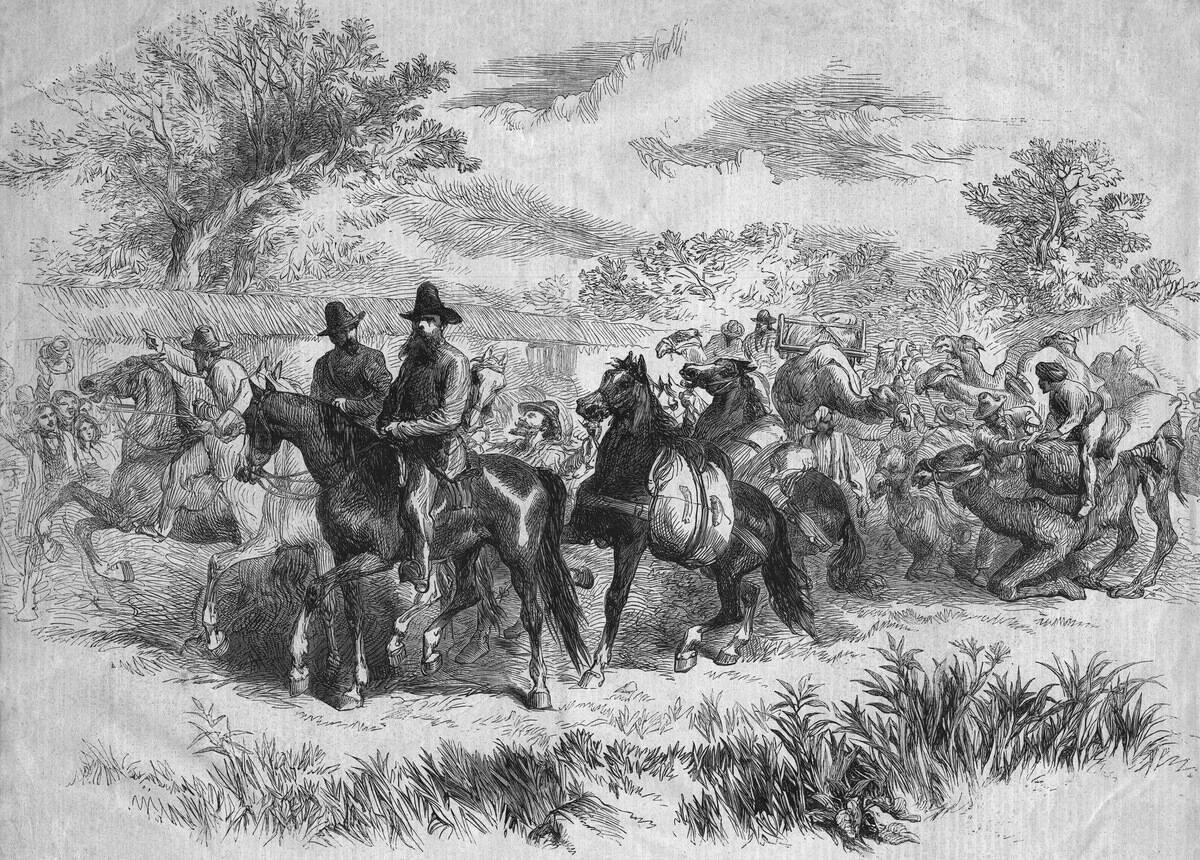 Burke And Wills Expedition