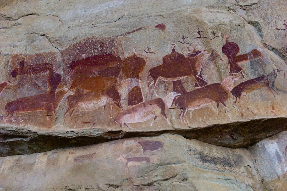 Bushmen cave art