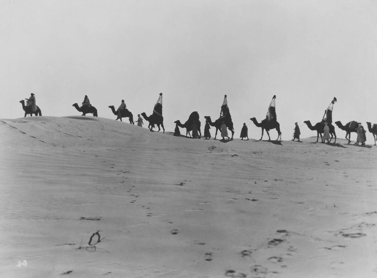 Camel Train-A-Rollin'