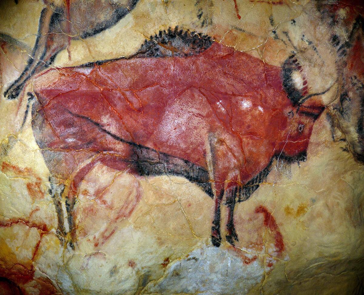 Cave painting of bison at Altamira