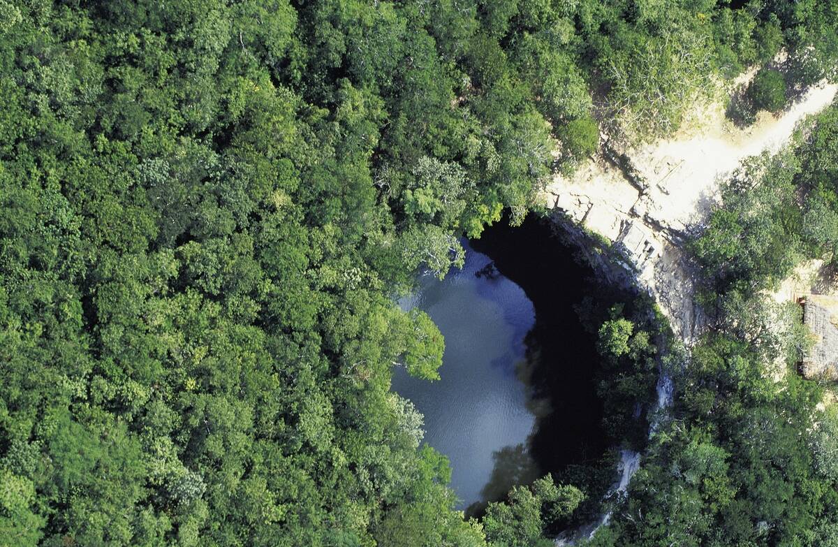 Cenote Xtoloe or sacred well...