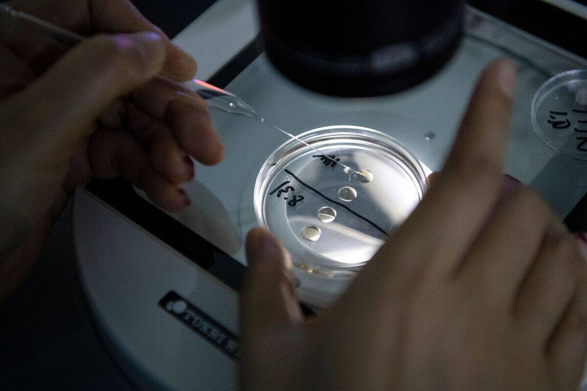 CHINA-SCIENCE-LIFESTYLE