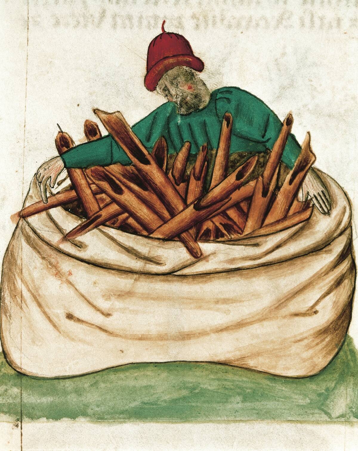 Cinnamon seller, Tractatus de herbis