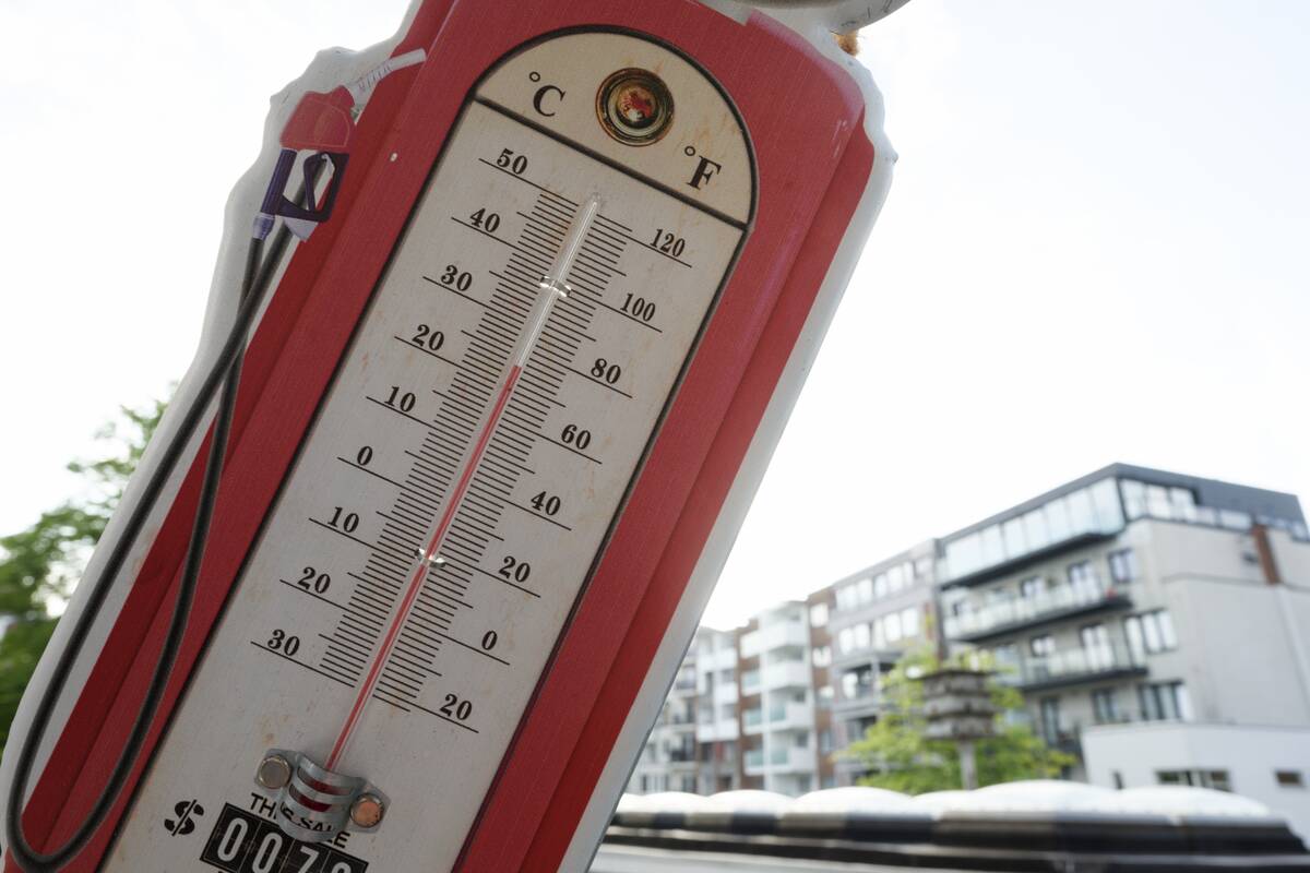 Climate Change In Brussels