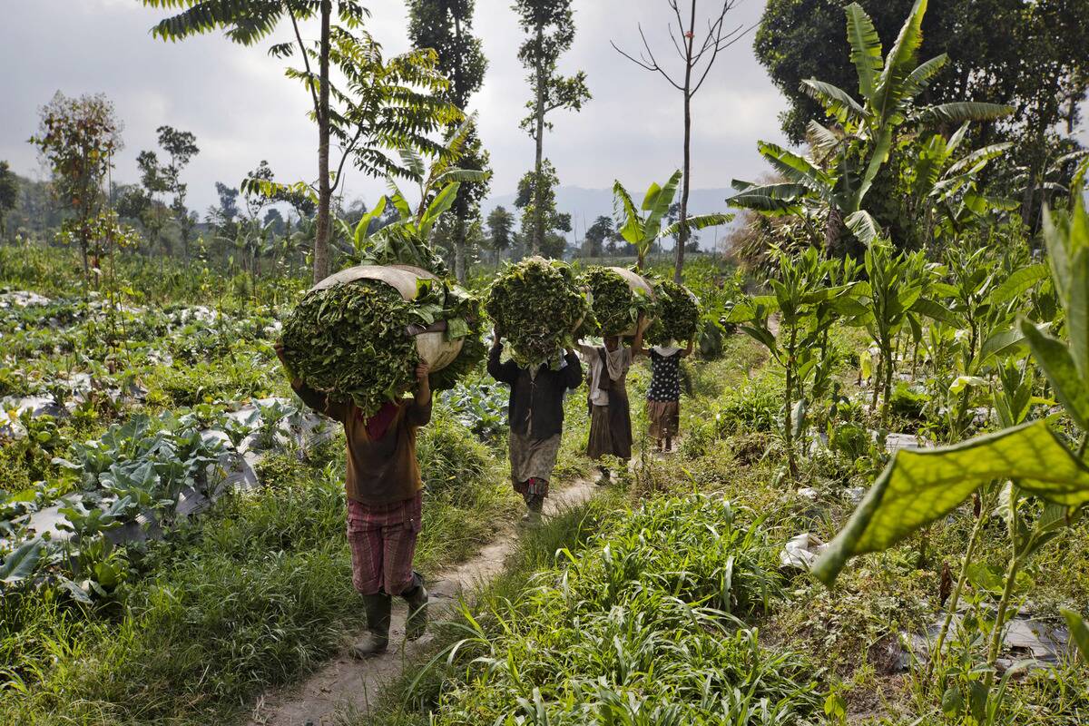 Communities Live Beneath Mount Merapi Volcano